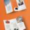 100 Best Indesign Brochure Templates In Adobe Indesign Brochure Templates