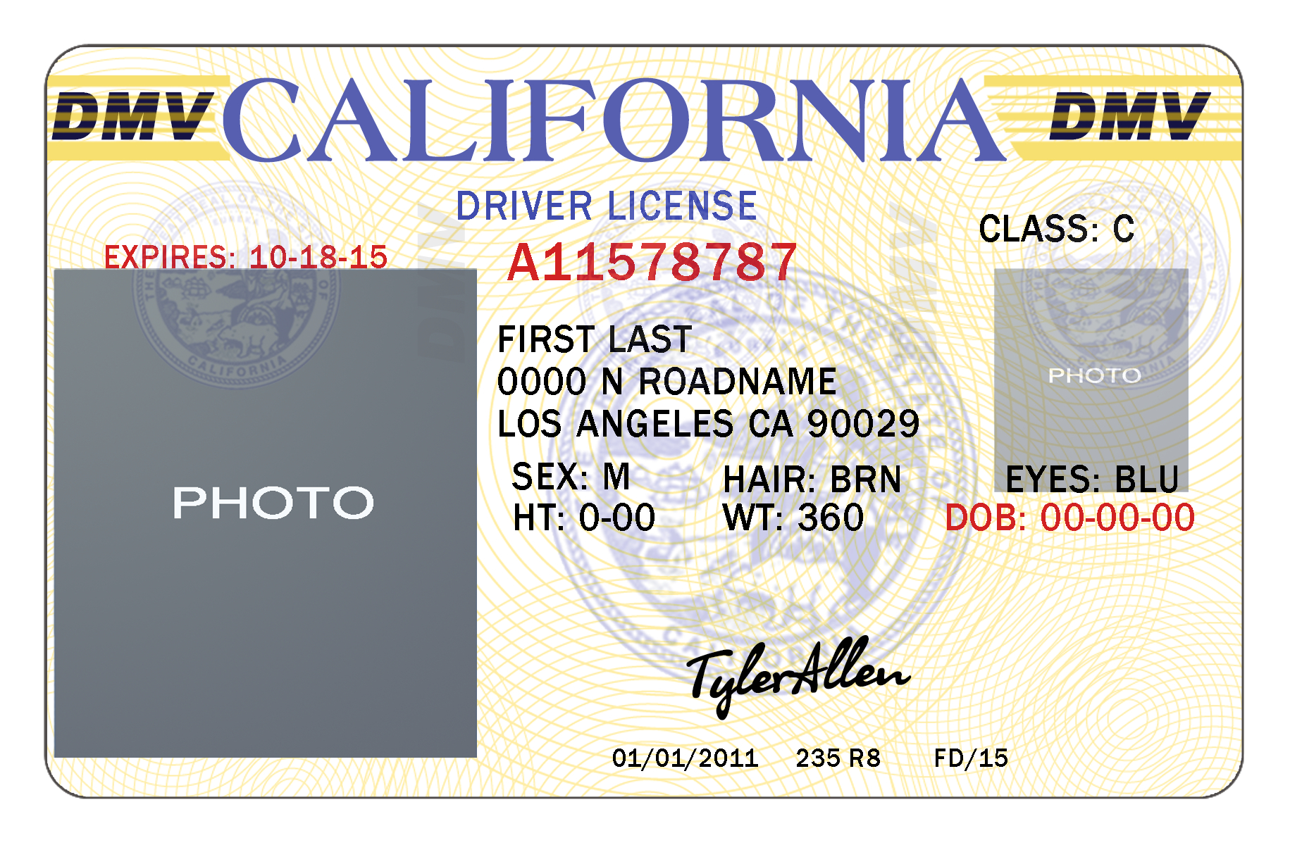 11Ea1 Free Drivers License Template | Wiring Resources Throughout Texas Id Card Template