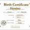 12 Birth Certificate Template | Radaircars For Baby Doll Birth Certificate Template