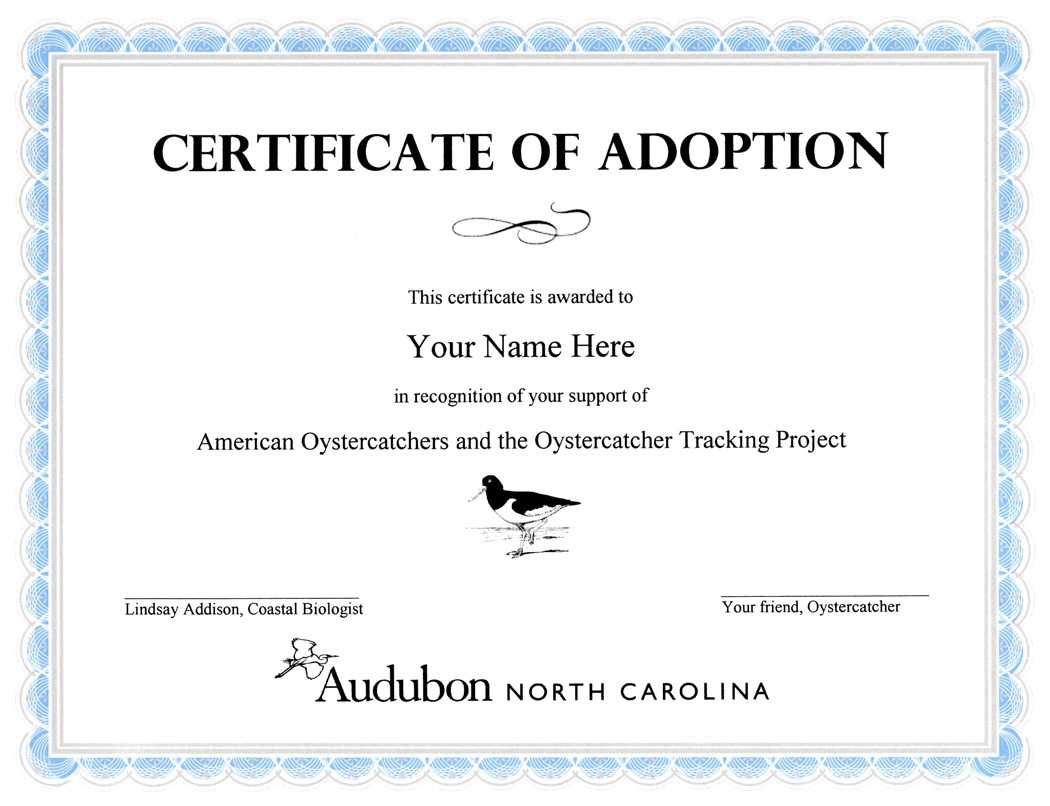 28+ [ Adoption Certificate Template ] | Adoption Certificate In Adoption Certificate Template