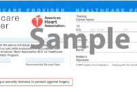 2A161 Cpr Card Template | Wiring Resources throughout Cpr Card Template