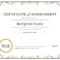 Achievement Award Certificate Template – Dalep.midnightpig.co Intended For Army Certificate Of Achievement Template
