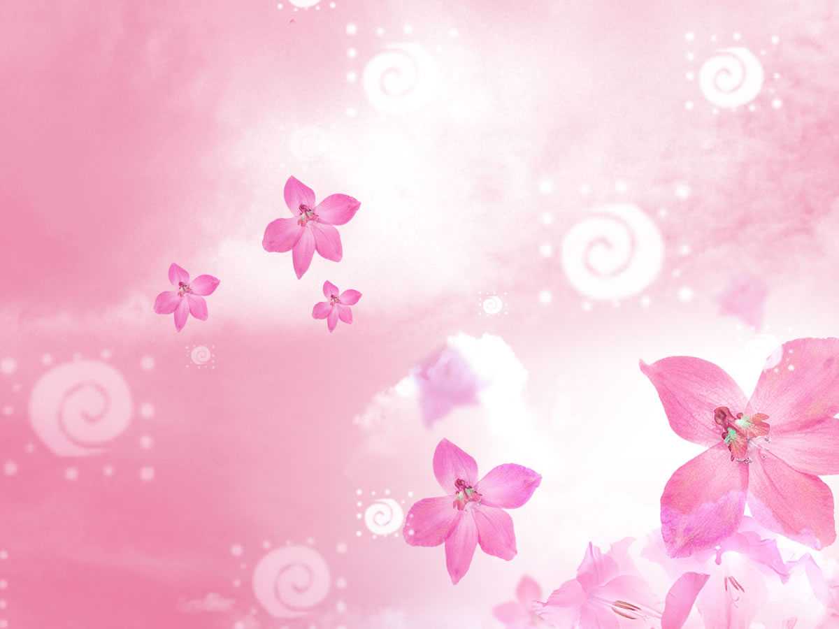 Beautiful Flowers Backgrounds For Powerpoint – Flower Ppt Regarding Pretty Powerpoint Templates