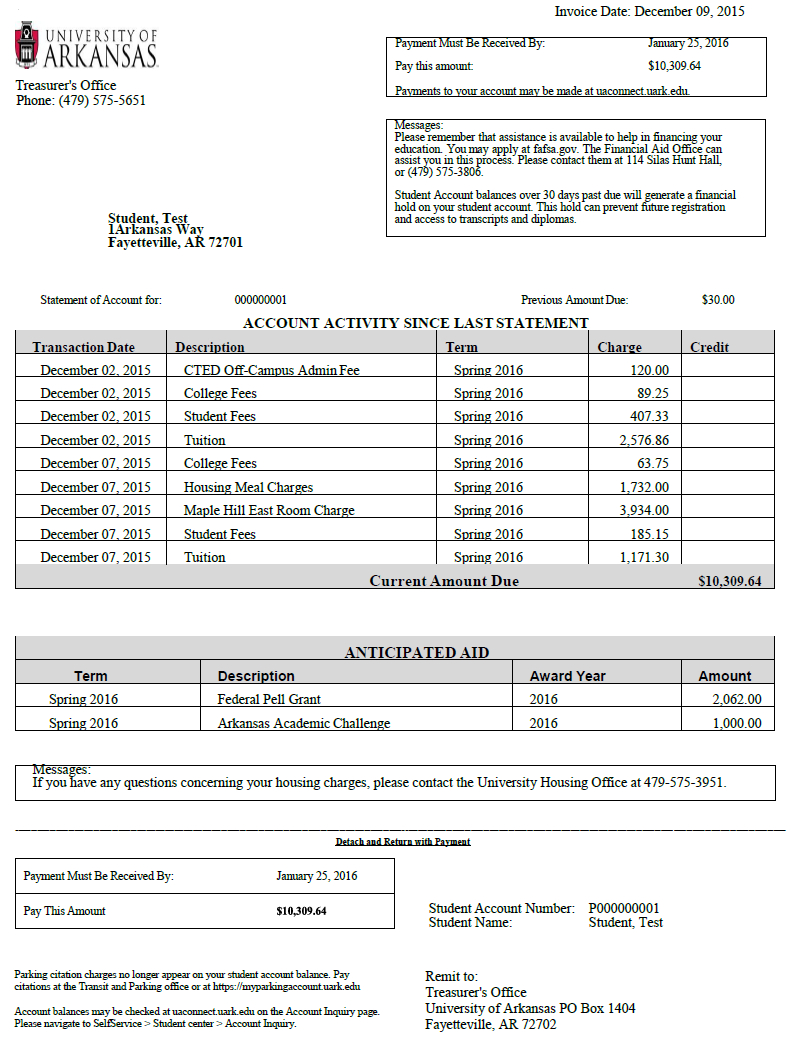 Billing Statements Within Credit Card Payment Plan Template
