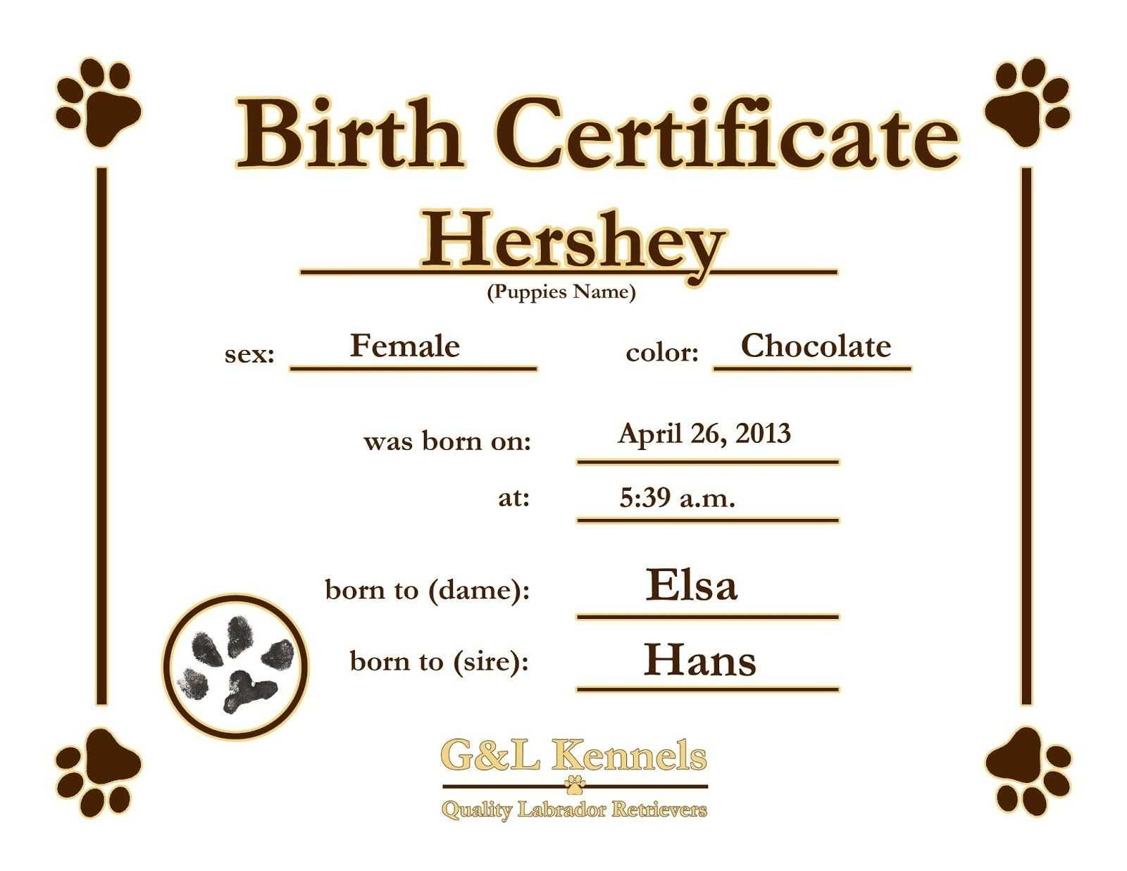 Birth Certificate Template 44 Free Word Pdf Psd Format With Regard To Build A Bear Birth Certificate Template