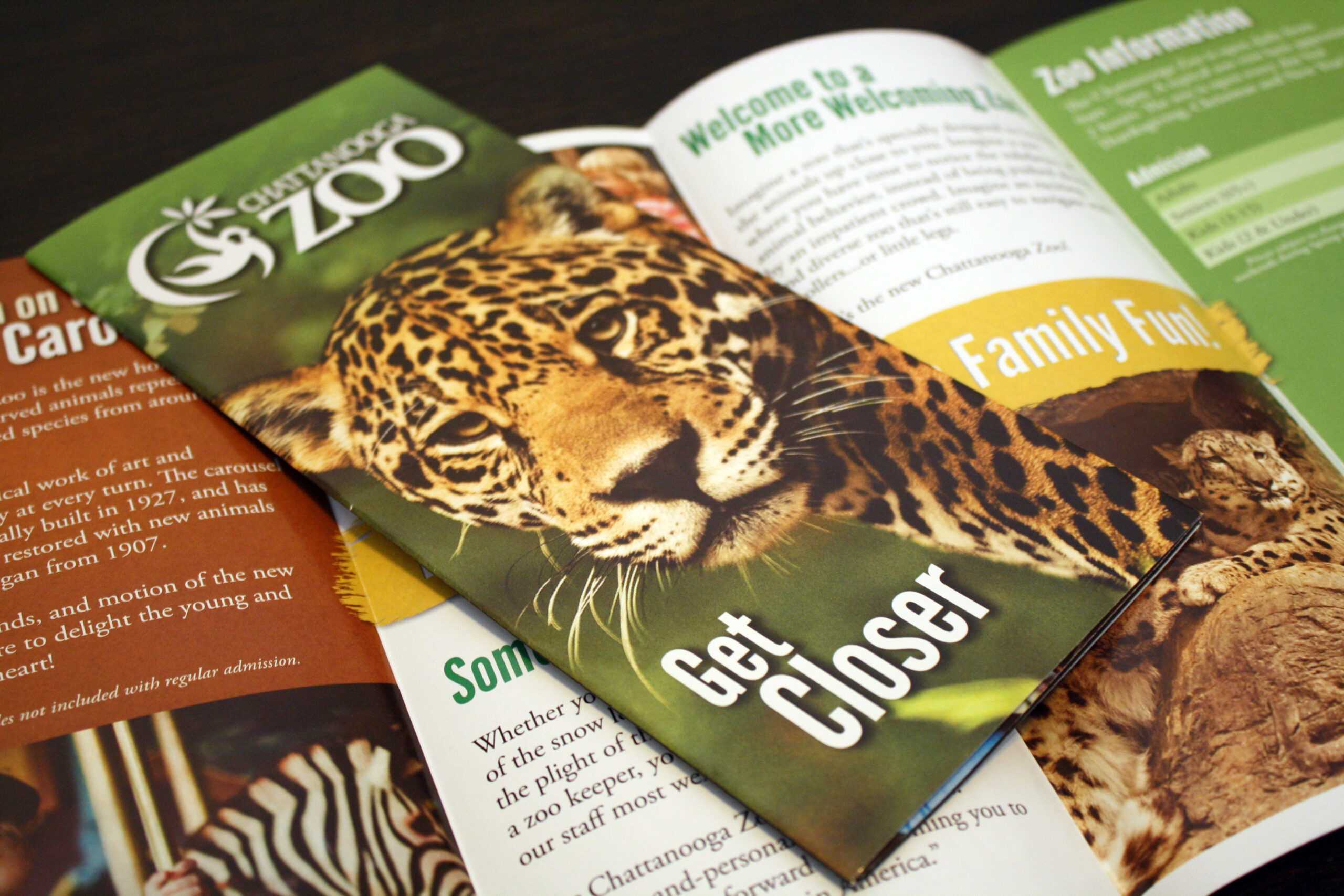 Brochure Design | Manning Design For Zoo Brochure Template