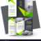 Brochure Design Template Creative Tri Fold Green Pertaining To E Brochure Design Templates