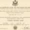 Certificate Of Appreciation Retirement – Calep.midnightpig.co Within Army Certificate Of Appreciation Template