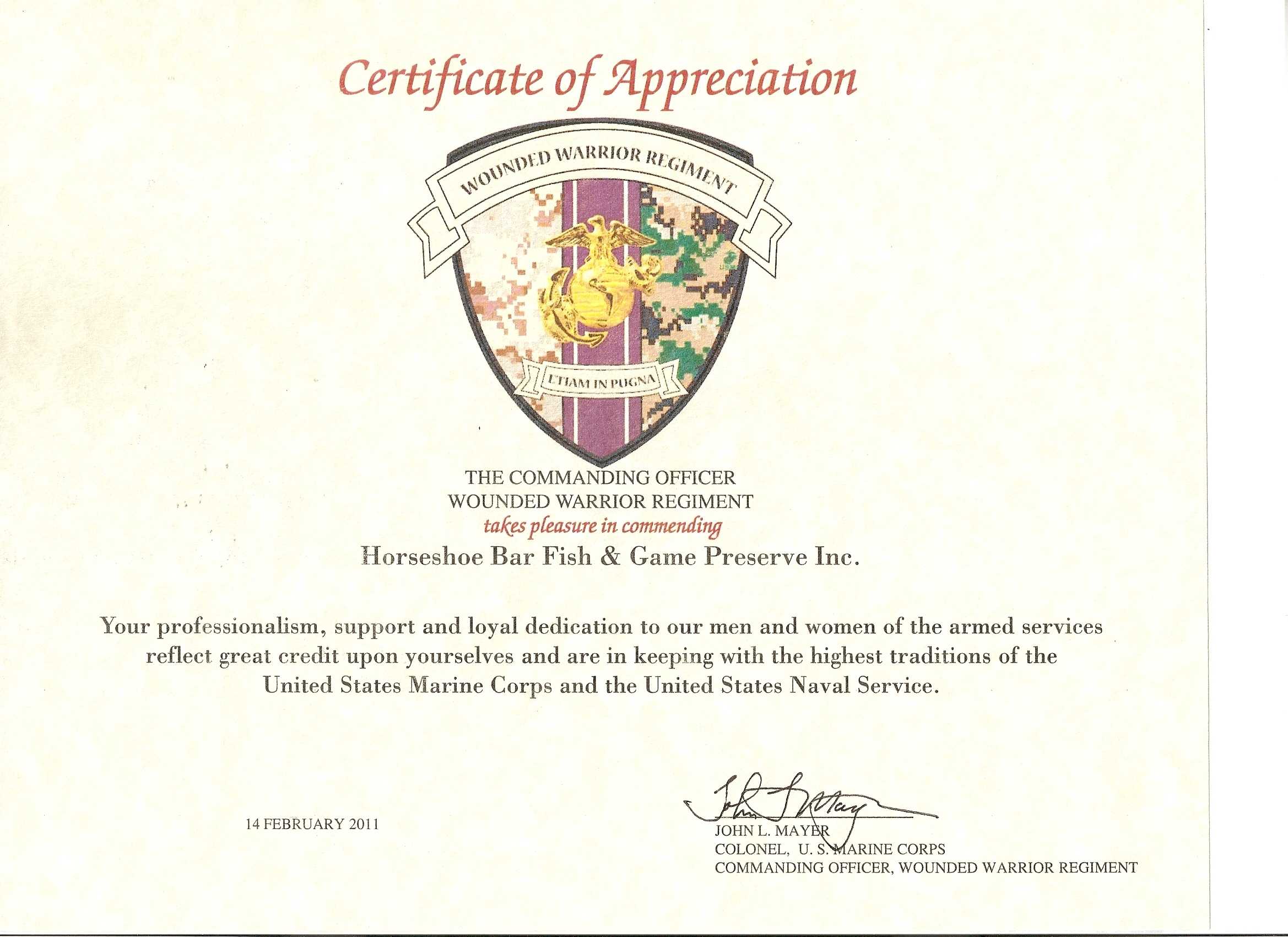 Certificate Of Appreciation Usmc – Dalep.midnightpig.co With Army Certificate Of Appreciation Template