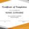 Certificate Of Attendance Template Free – Falep.midnightpig.co With Regard To Certificate Of Completion Free Template Word