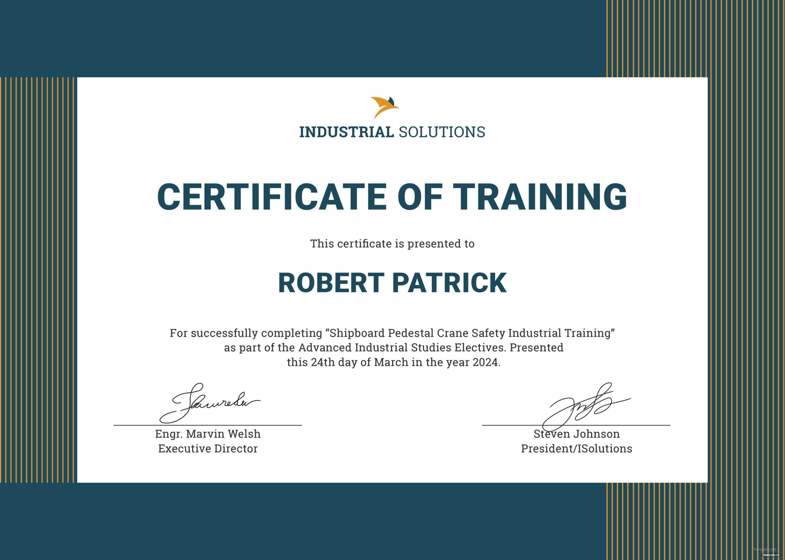 Certificate Of Training Templates – Falep.midnightpig.co With Regard To Template For Training Certificate