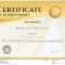Certificate Template In Vector For Achievement Graduation Regarding Sales Certificate Template