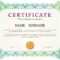 Certificate Template With Guilloche Elements. Green Diploma Border.. Inside Validation Certificate Template