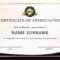 Certificates For Employees – Falep.midnightpig.co In Funny Certificates For Employees Templates