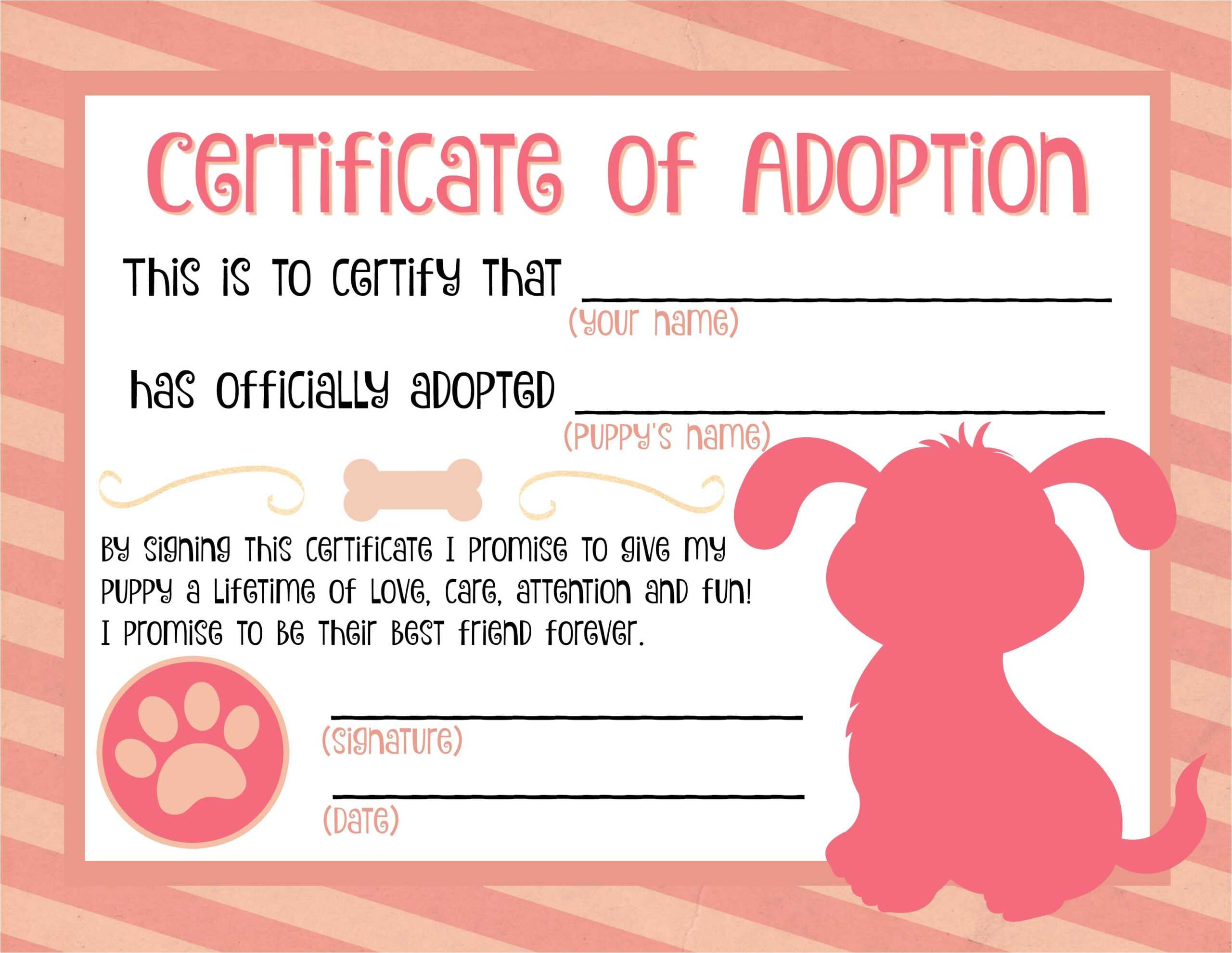 Child Adoption Certificate Template – Dalep.midnightpig.co Within Child Adoption Certificate Template