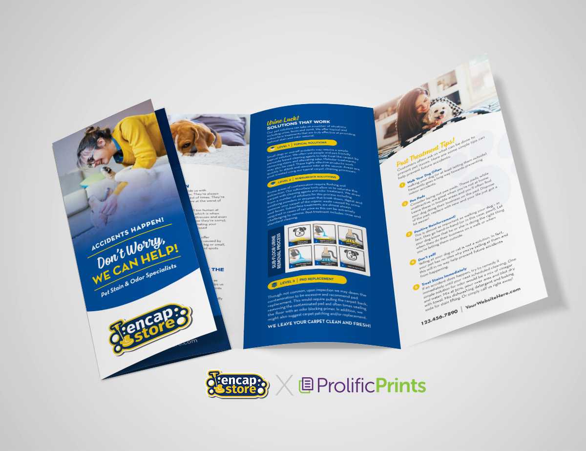 Cleaning Brochure – Calep.midnightpig.co Inside Commercial Cleaning Brochure Templates