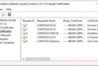 Глава 4. Сертификаты В Windows Server 2016 - Windows Server in Domain Controller Certificate Template