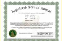 Dog Certificate Template - Dalep.midnightpig.co within Service Dog Certificate Template