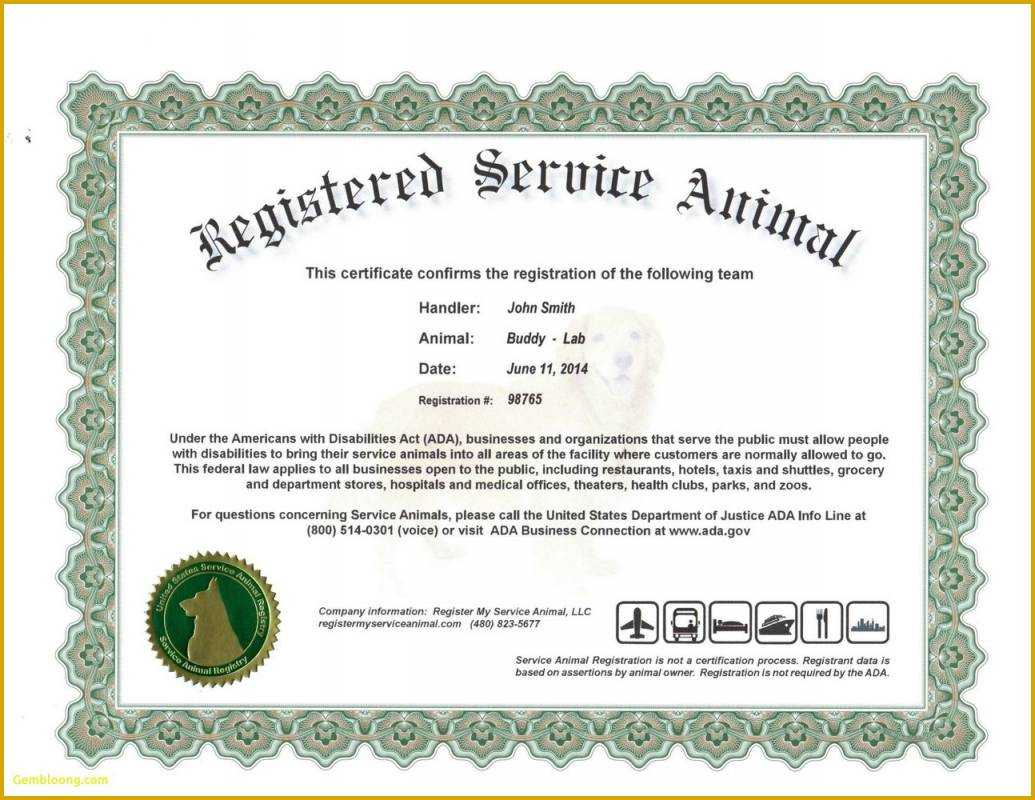 Dog Certificate Template - Dalep.midnightpig.co Within Service Dog Certificate Template