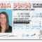 Drivers Licence Id Template – Babysitemn's Blog Within Florida Id Card Template