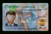 Florida Driver License Template in Florida Id Card Template