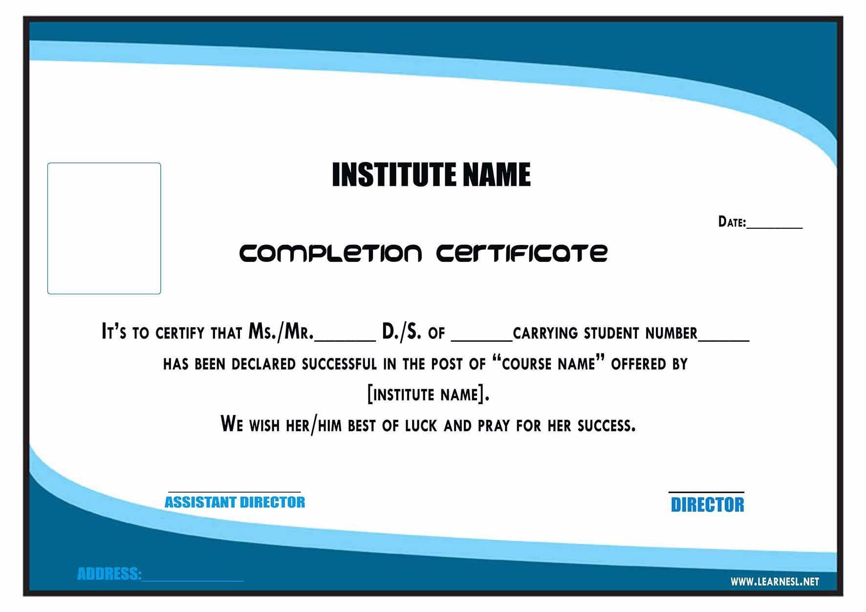 Format Of Course Completion Certificate – Falep.midnightpig.co Intended For This Entitles The Bearer To Template Certificate