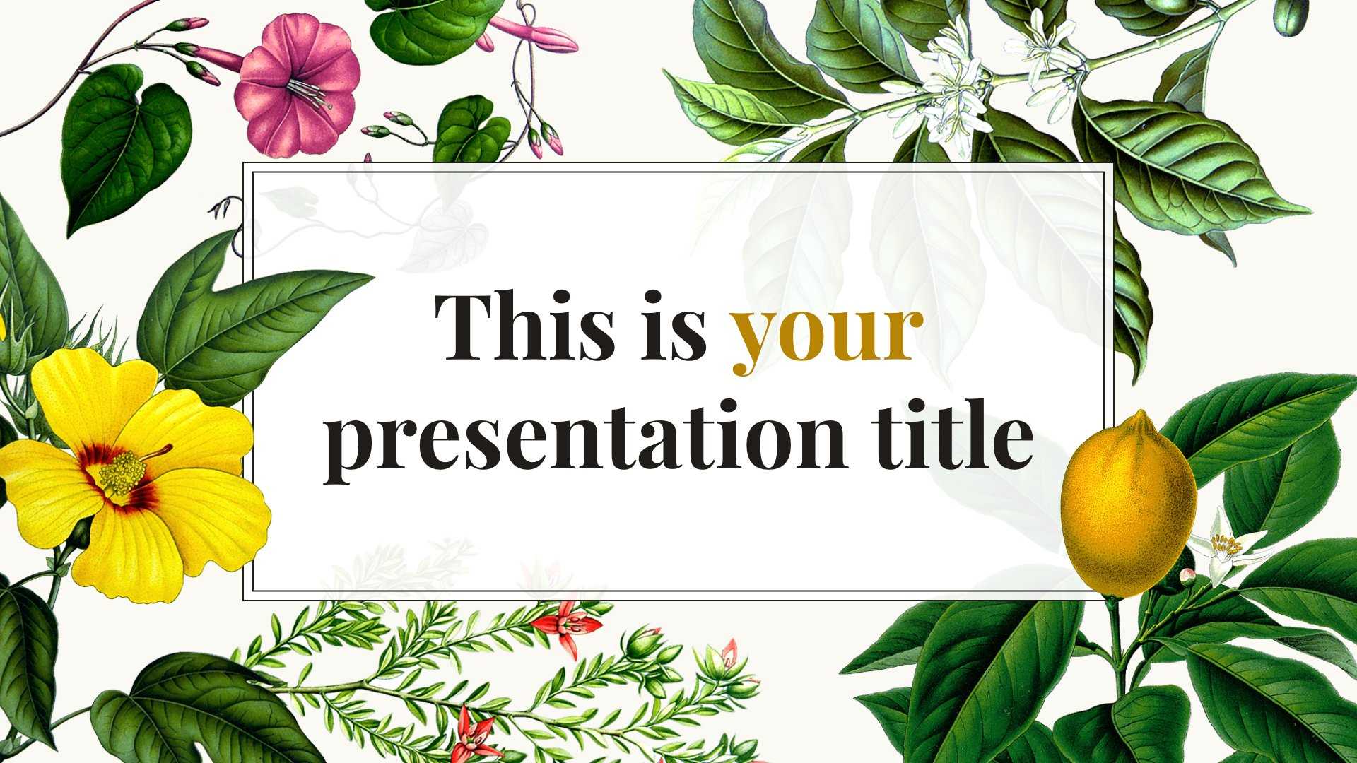 Free Original Powerpoint Template Or Google Slides Theme Inside Fancy Powerpoint Templates