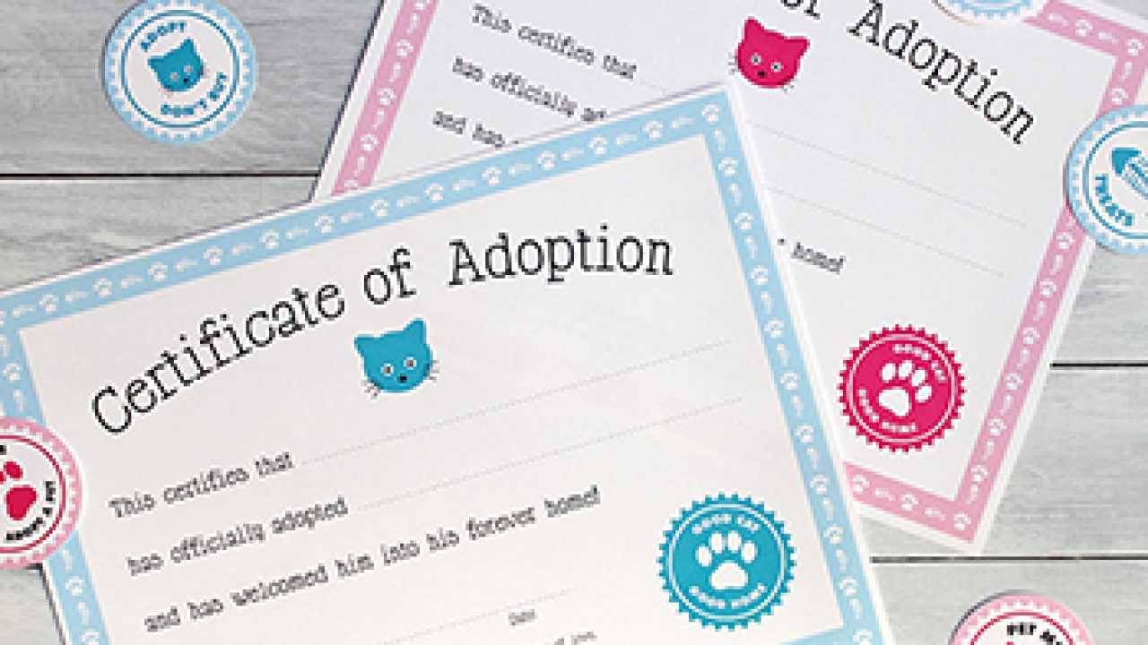 Free Printable Cat Adoption Kit | Chickabug For Blank Adoption Certificate Template