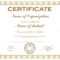 General Purpose Certificate Or Award With Sample Text That Can.. Regarding Template For Certificate Of Award