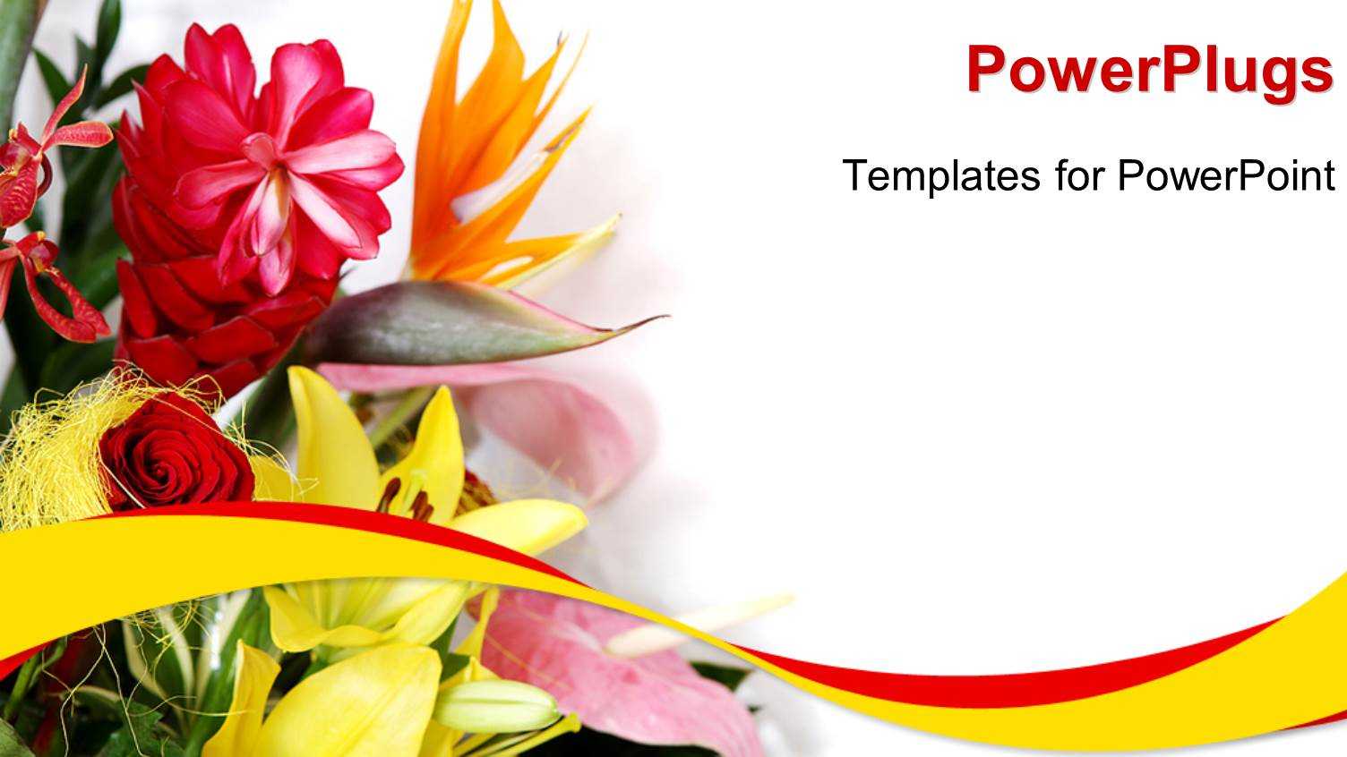 Greeting Card Template Powerpoint Business Professional Templates