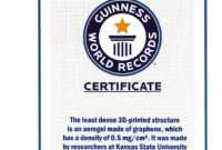 Guinness World Record Certificate Template - Dalep in Guinness World Record Certificate Template