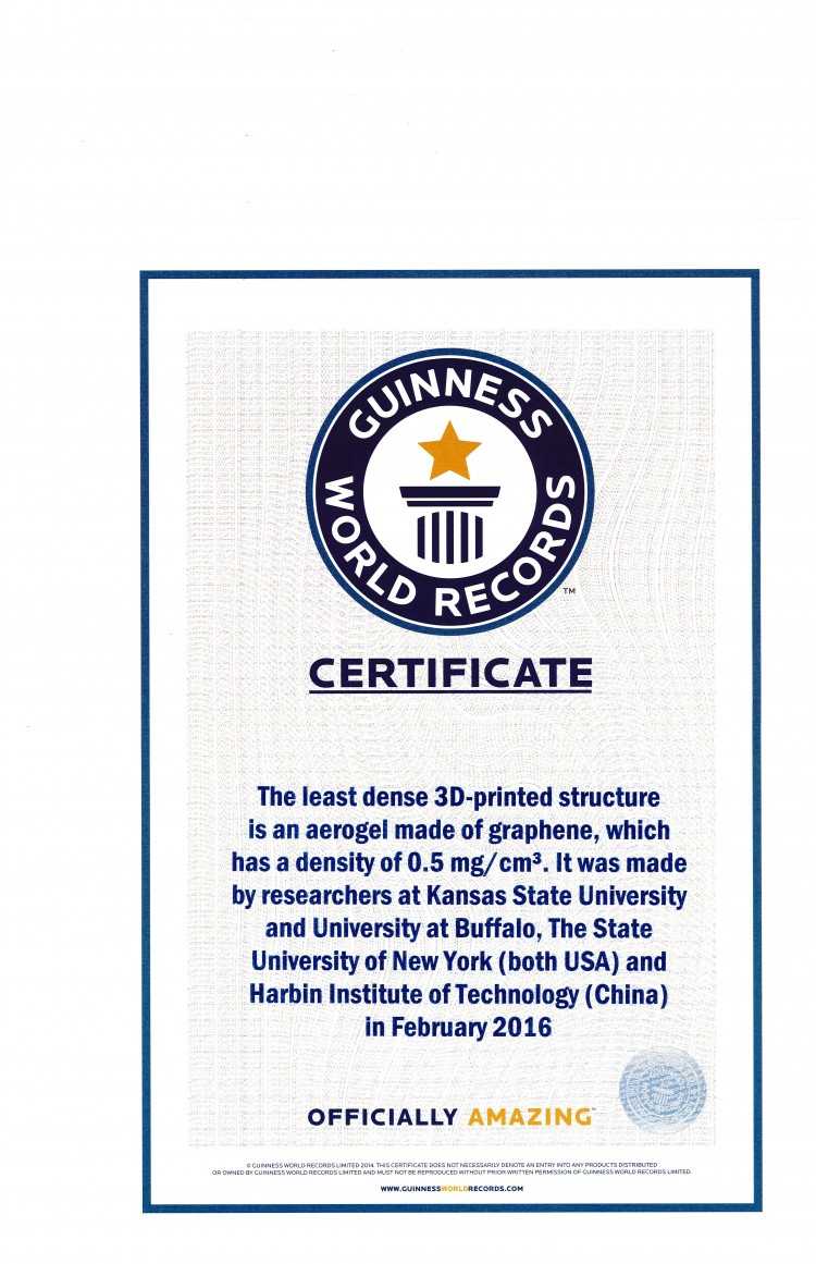Guinness World Record Certificate Template - Dalep In Guinness World Record Certificate Template