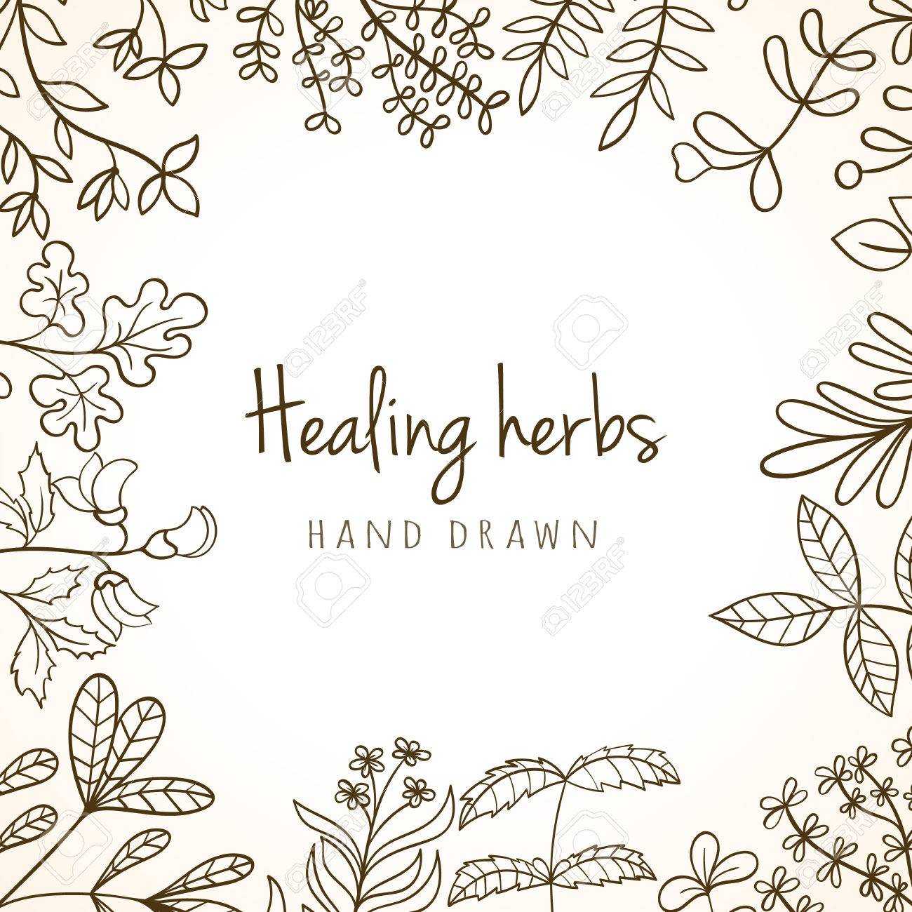 Hand Drawn Vintage Background Of Medicinal Organic Healing Herbs. Vector  Medical Plants And Herbal Botanical Flowerelements Can Be Used For Banner With Regard To Med Card Template