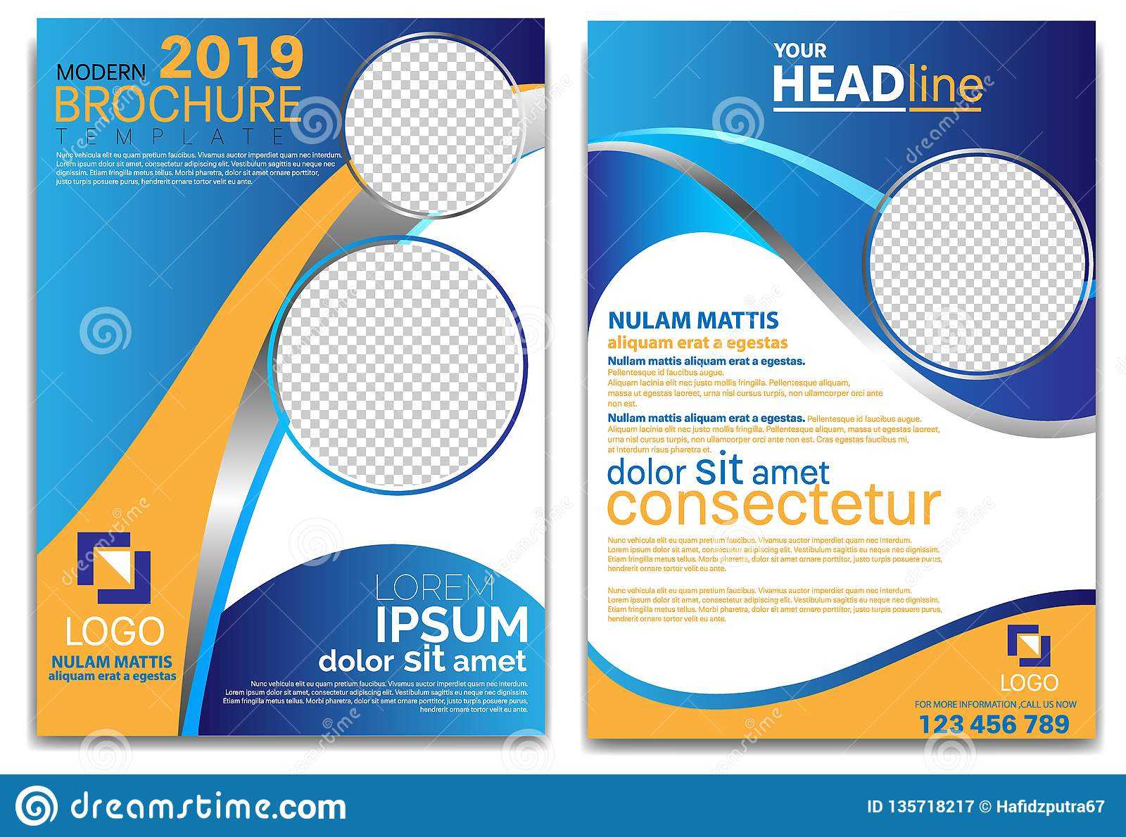 Modern Brochure Template 2019 And Professional Brochure With Professional Brochure Design Templates