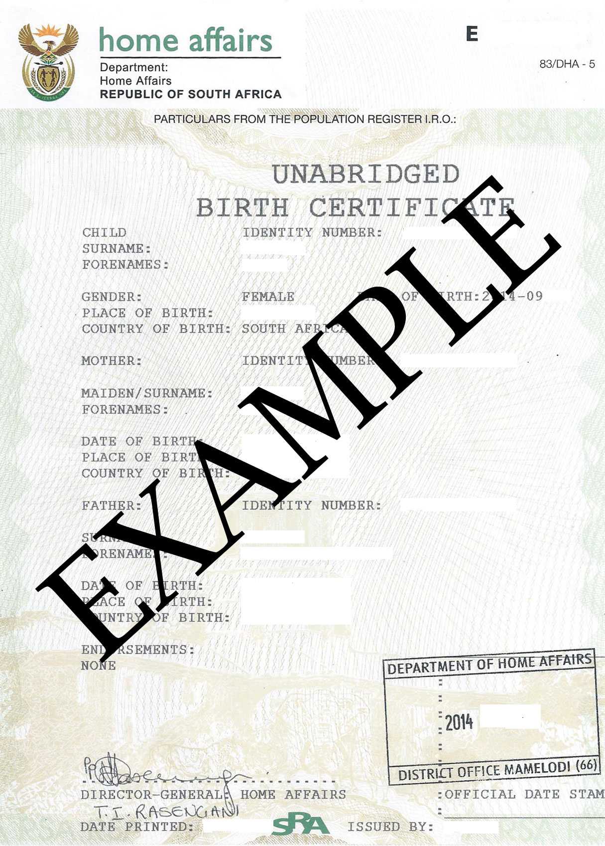 Novelty Birth Certificate Template – Great Professional Within Fake Birth Certificate Template