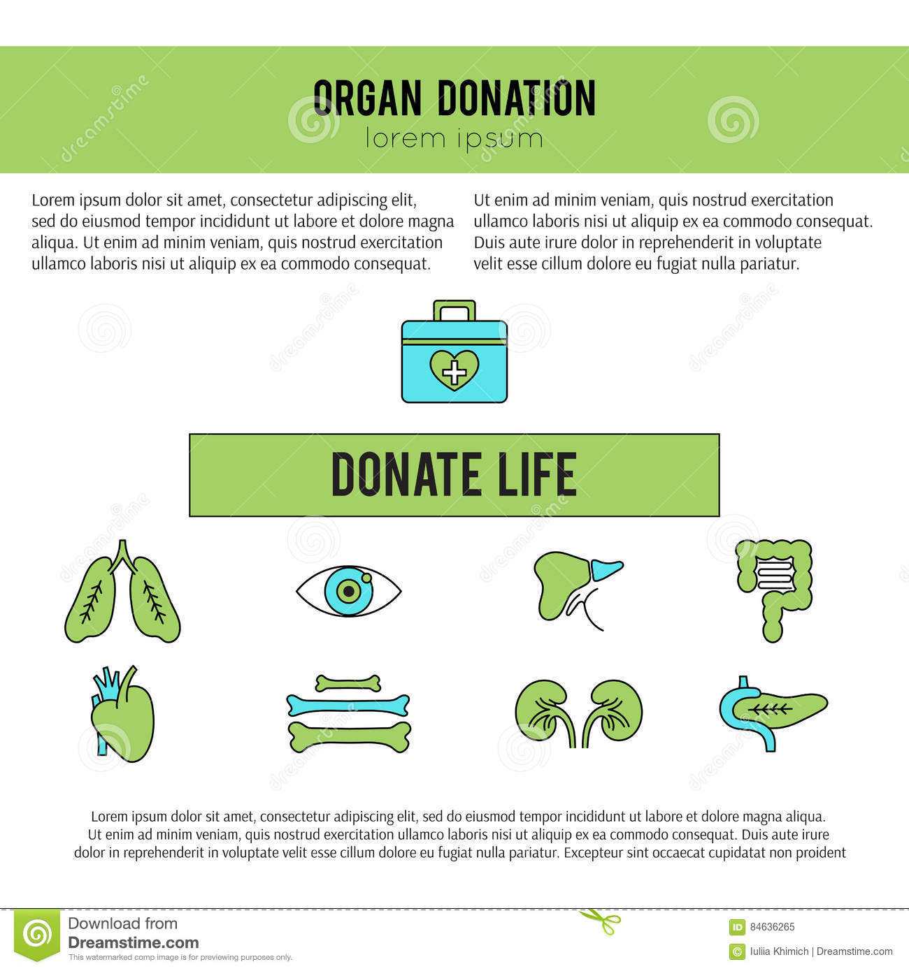 Organ Donation Template Stock Vector. Illustration Of Cornea Inside Organ Donor Card Template