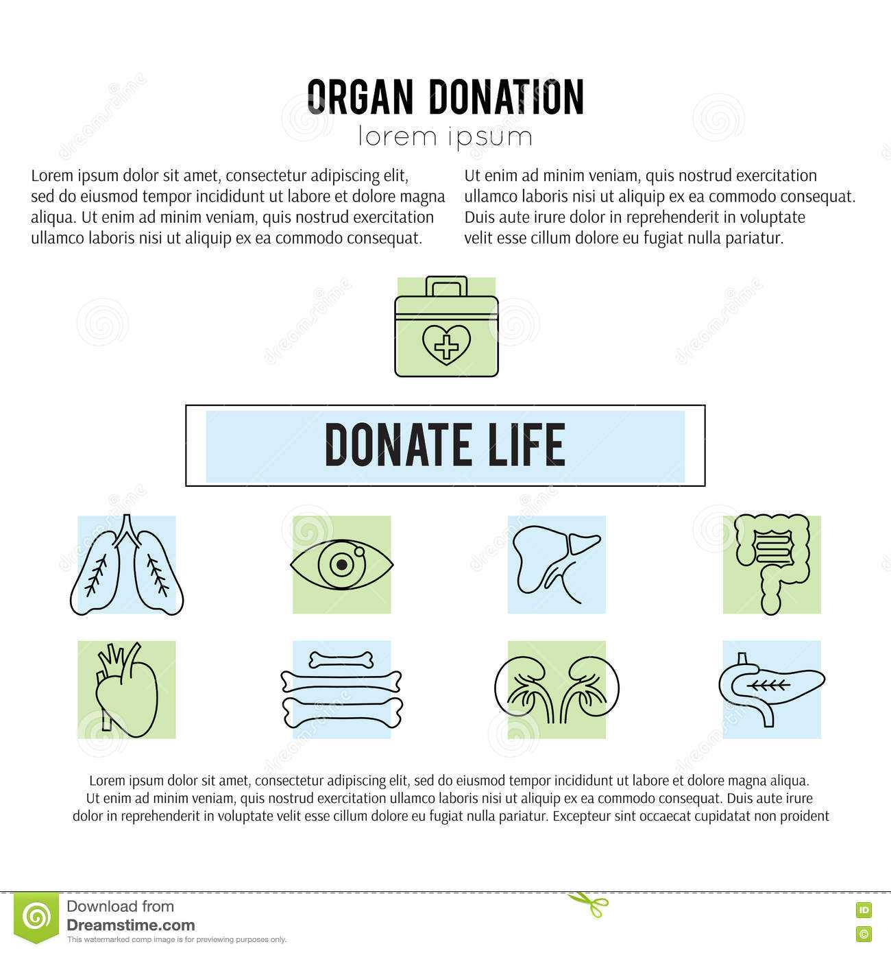 Organ Donation Template Stock Vector. Illustration Of Liver Throughout Organ Donor Card Template
