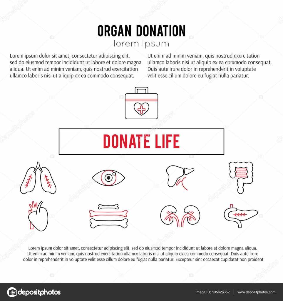 Organ Donation Template — Stock Vector © Julia Khimich Intended For Organ Donor Card Template