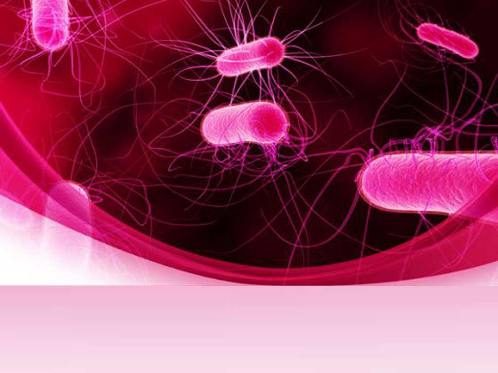 Powerpoint Bacteria Templates For Powerpoint Presentations Inside Virus Powerpoint Template Free Download