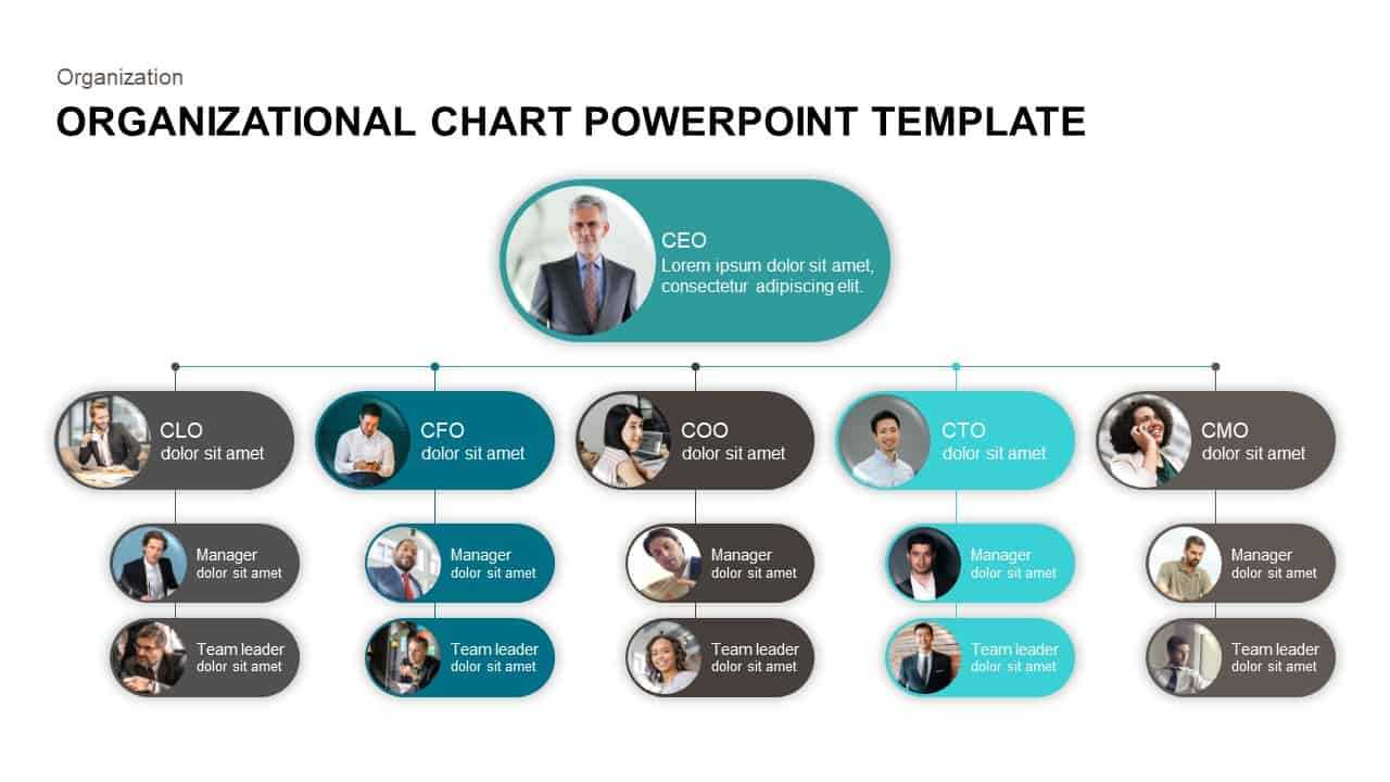Powerpoint Organization Chart Template – Falep.midnightpig.co Within Microsoft Powerpoint Org Chart Template