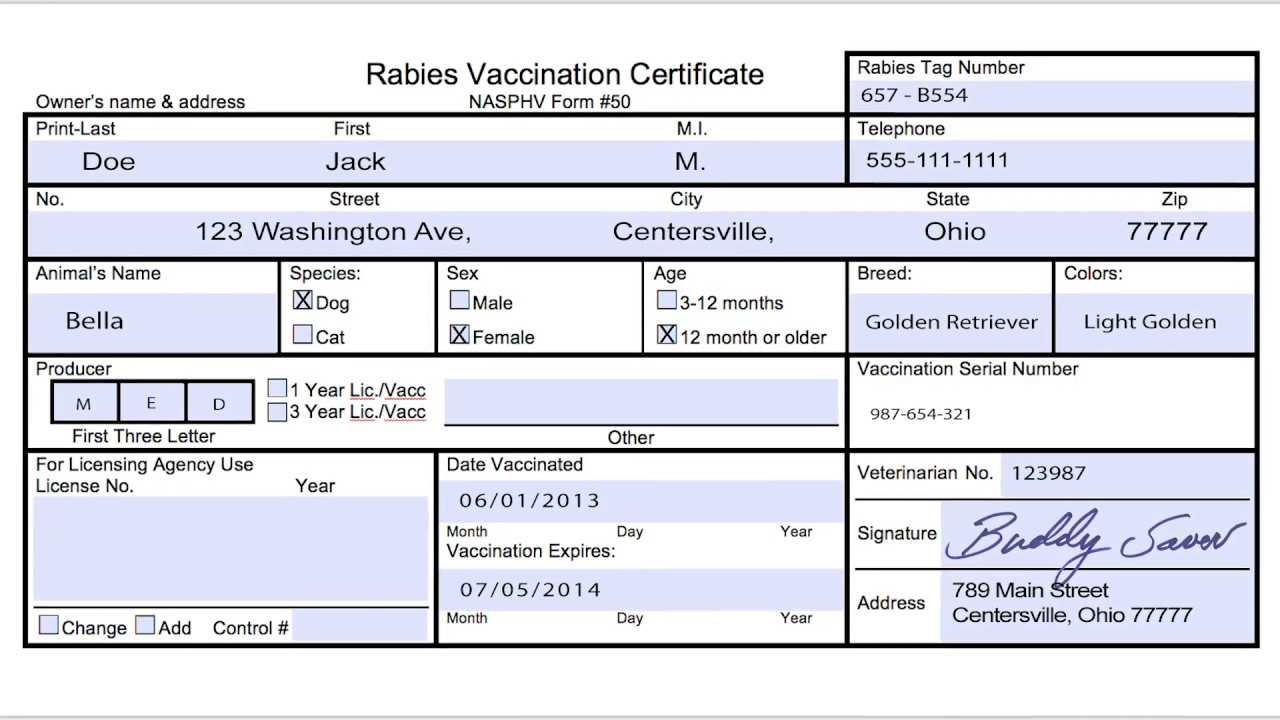Rabies Vaccination Certificate – Calep.midnightpig.co For Dog Vaccination Certificate Template