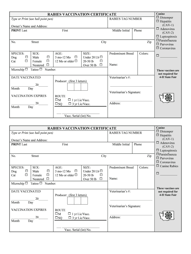 Rabies Vaccination Certificate – Calep.midnightpig.co With Rabies Vaccine Certificate Template