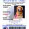 Service Dog Id | Custom & Holographic Throughout Service Dog Certificate Template