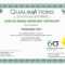 Six Sigma Black Belt Certificate Template – Carlynstudio Inside Green Belt Certificate Template