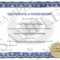 Six Sigma Green Belt Certification Regarding Green Belt Certificate Template