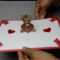 Teddy Bear Pop Up Card: Tutorial with Teddy Bear Pop Up Card Template Free