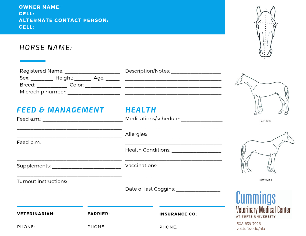 Travel Confidently – News Center At Cummings School Of In Horse Stall Card Template