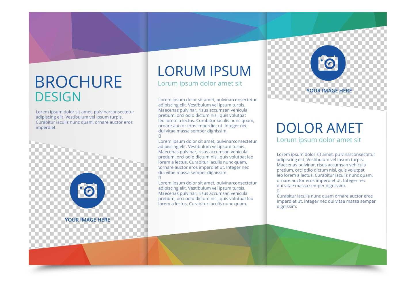 Tri Fold Brochure Vector Template - Download Free Vectors Intended For 3 Fold Brochure Template Free Download